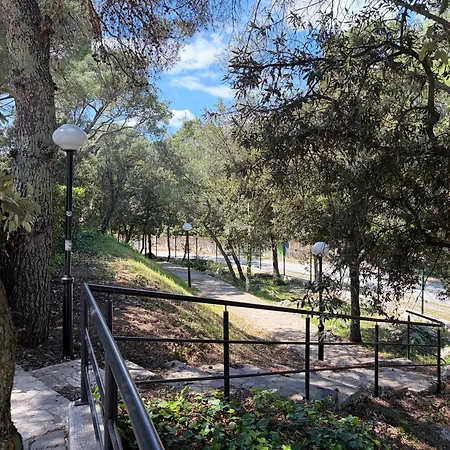 Mobile Agava 2 Biograd Na Moru